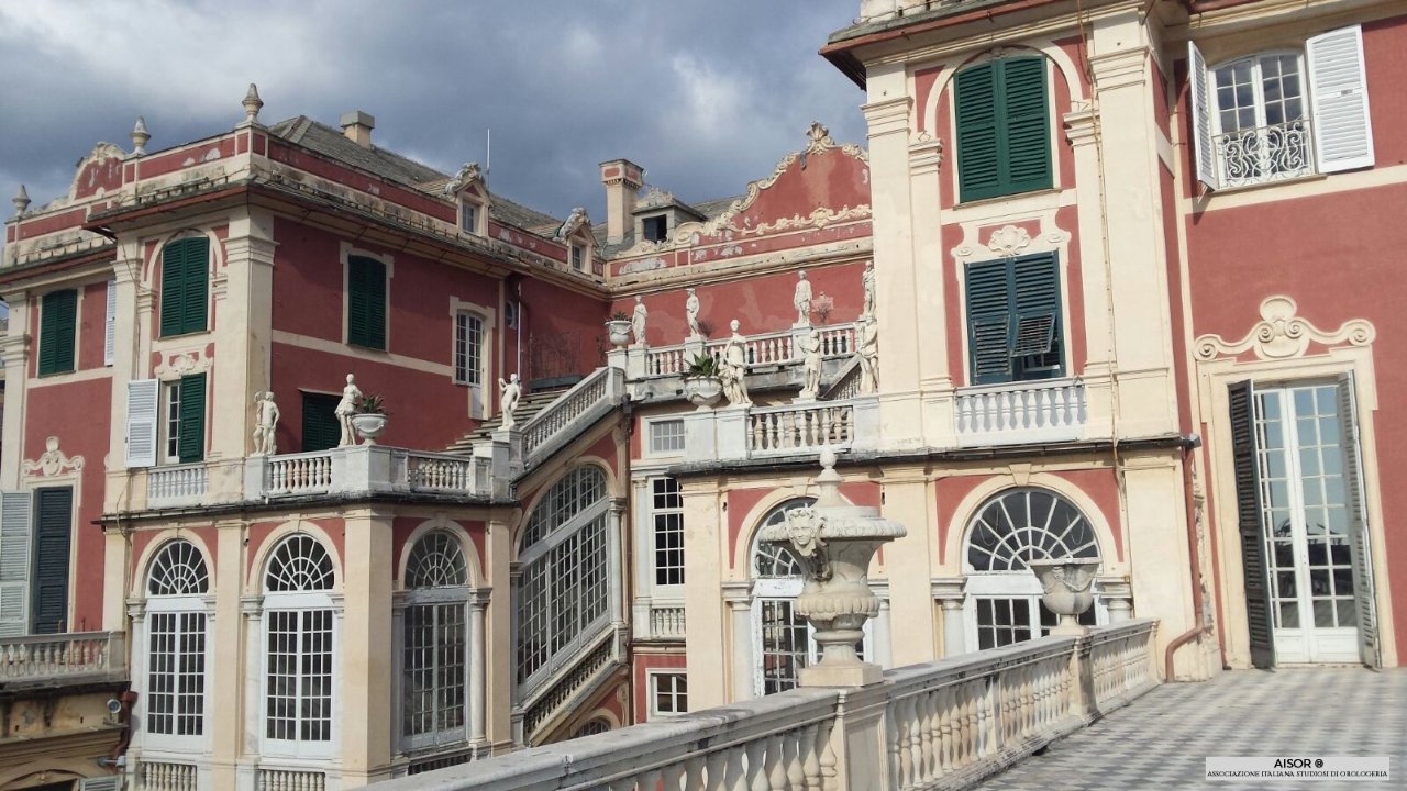 Palazzo Reale e palazzo Spinola 5.jpg