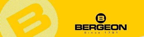 Logo Bergeon AISOR.jpg