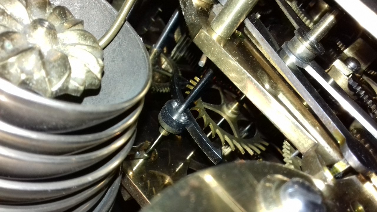 20190218_084504.jpg