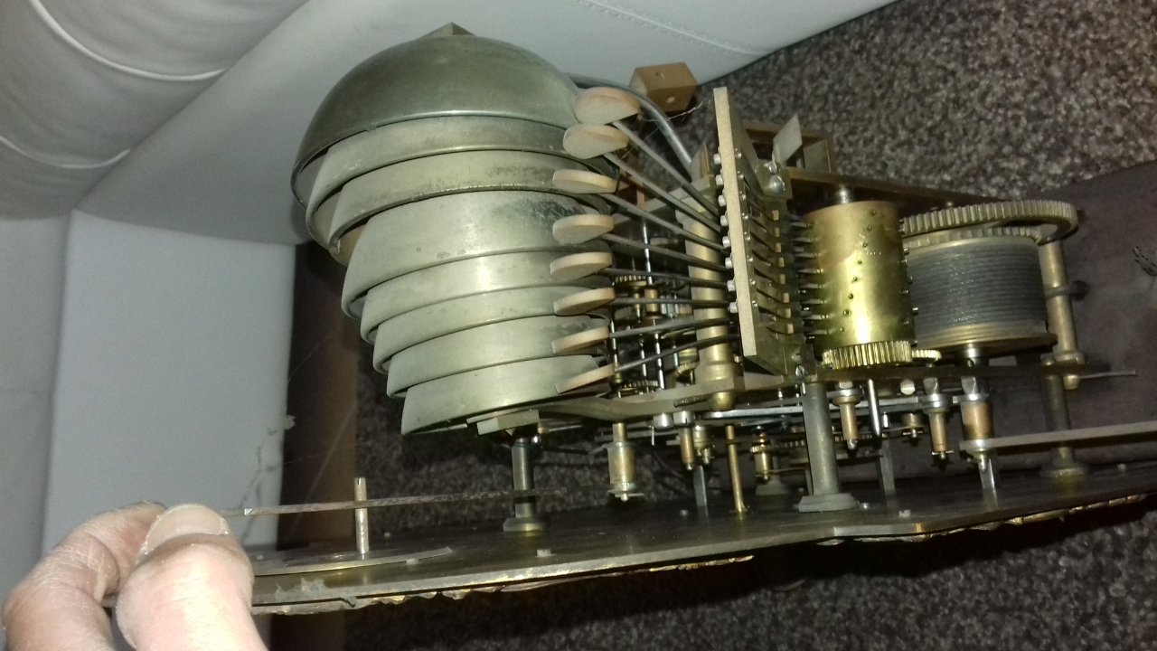 20190330_115438.jpg
