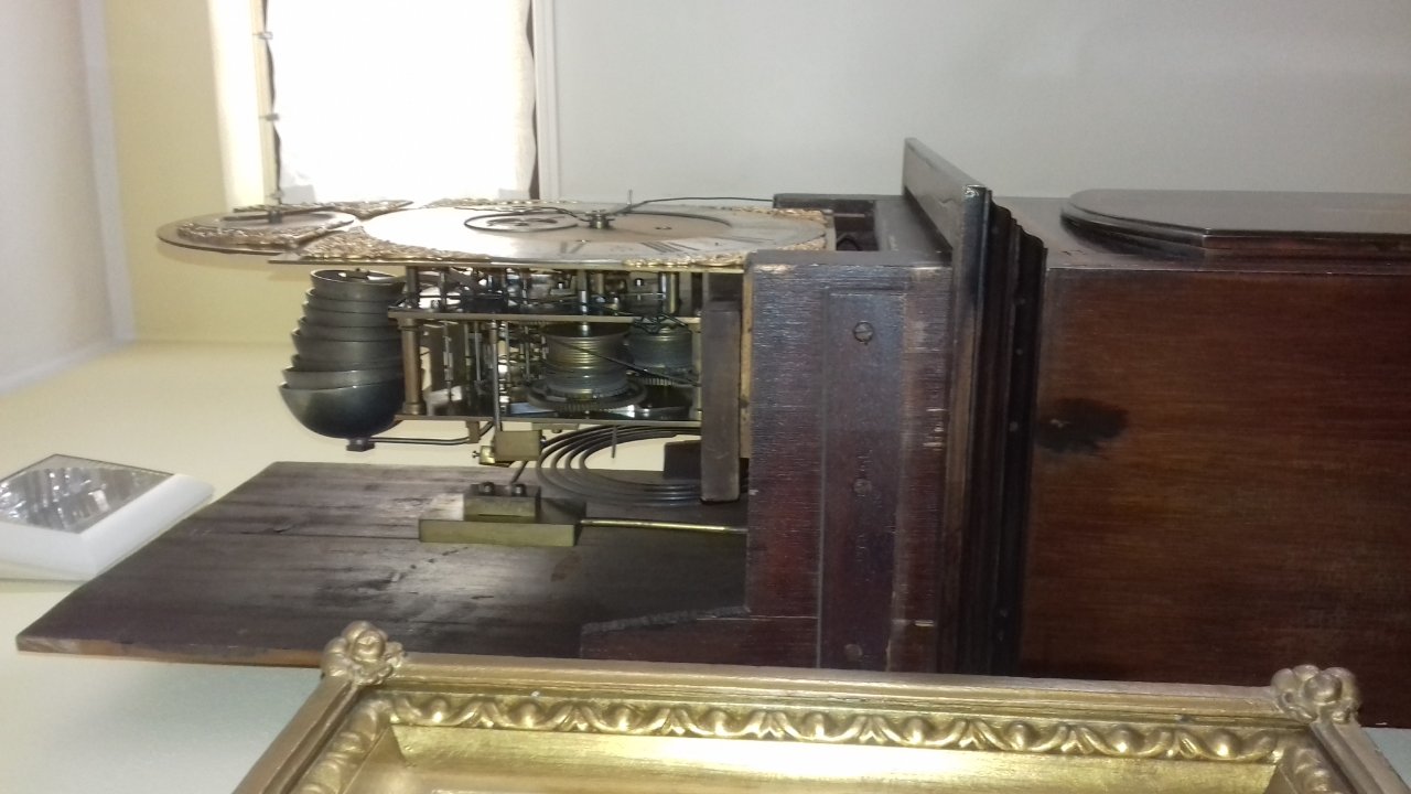 20190330_115813.jpg