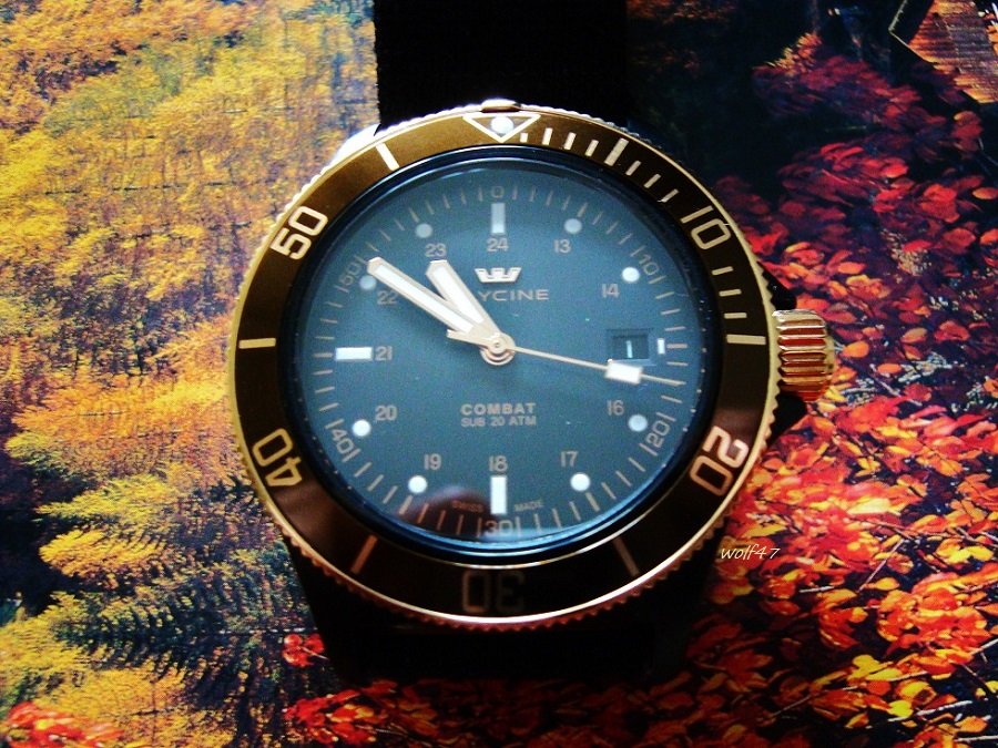 Glycine C14.JPG