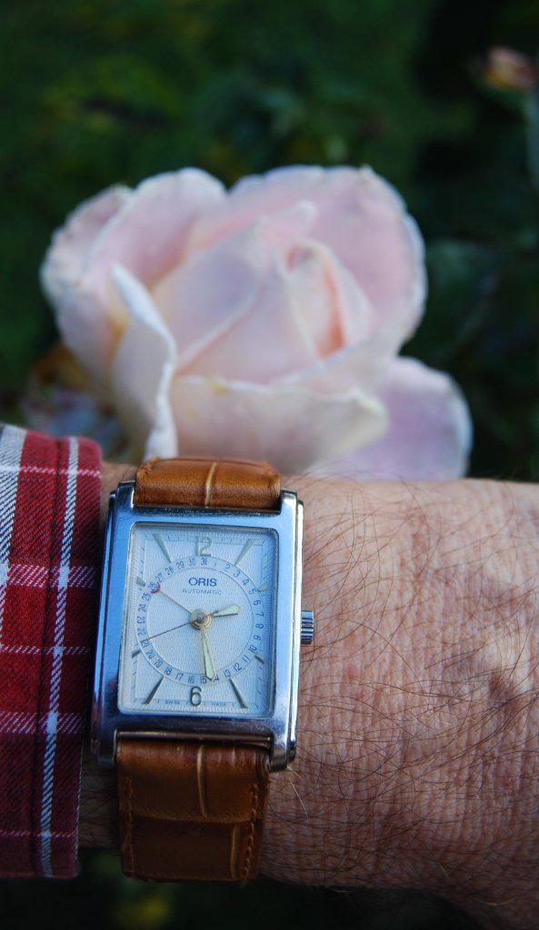 ORIS Rectangulaire.jpg