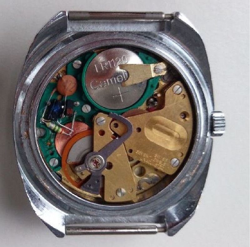 2 Diantus veduta retrocassa.JPG