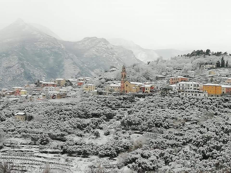 museo Bergallo Bardino Nuovo Innevato 2020 - 1.jpg