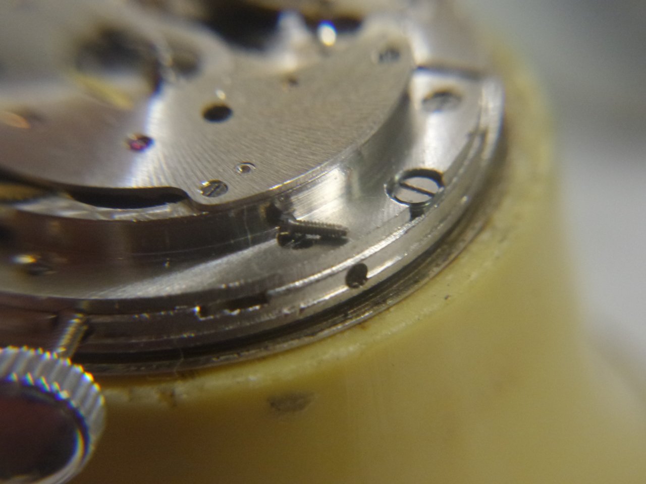 20210115_190312bis.jpg