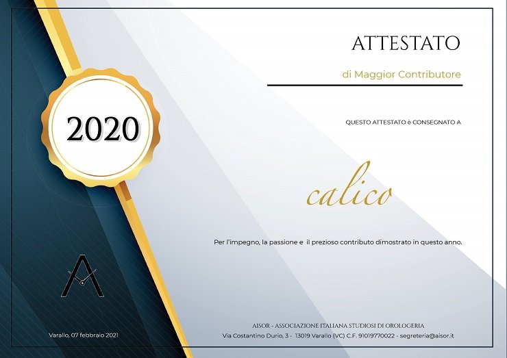 attestato MAGGIOR contributor 2020.jpg