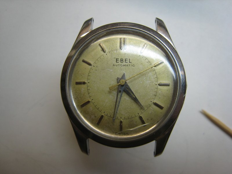 EbelAisor_61.JPG