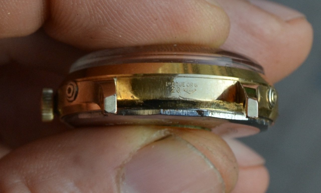 ducal man 6 (1).JPG