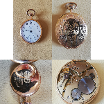 m_m_merged (3) (1).png