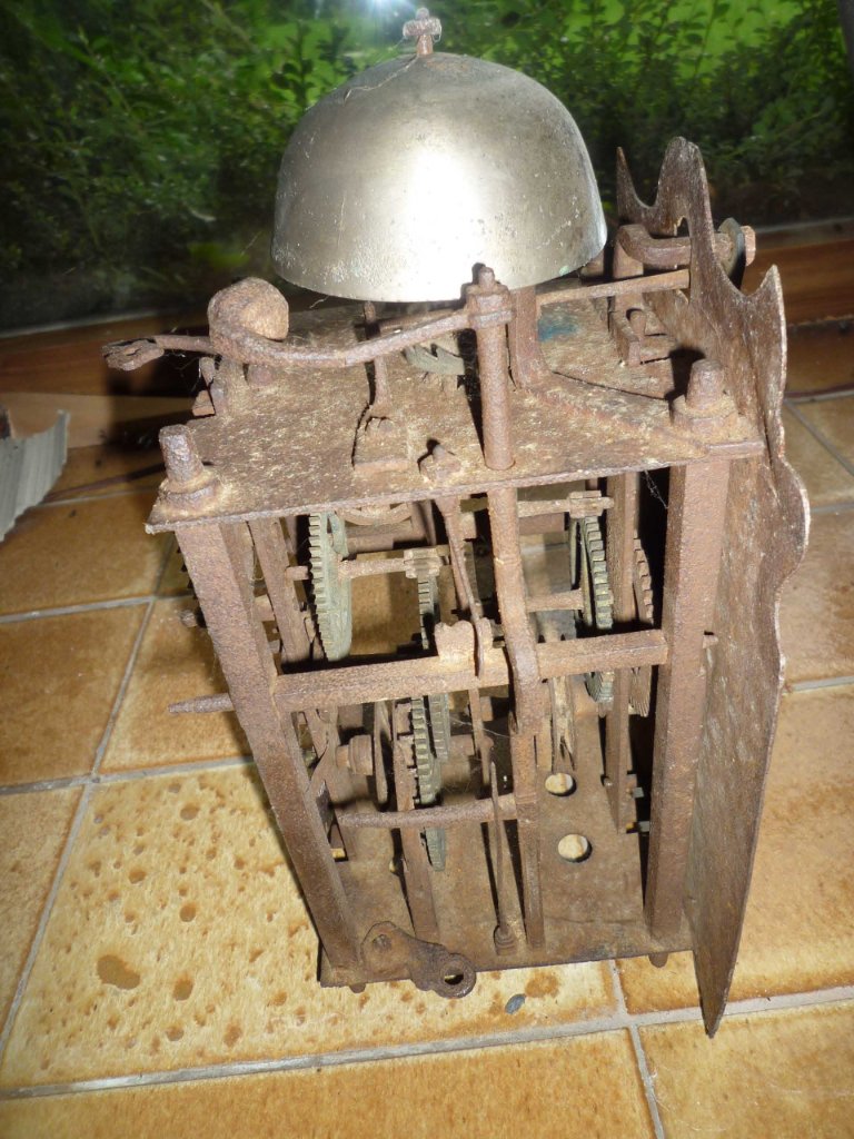 P1010790.jpg