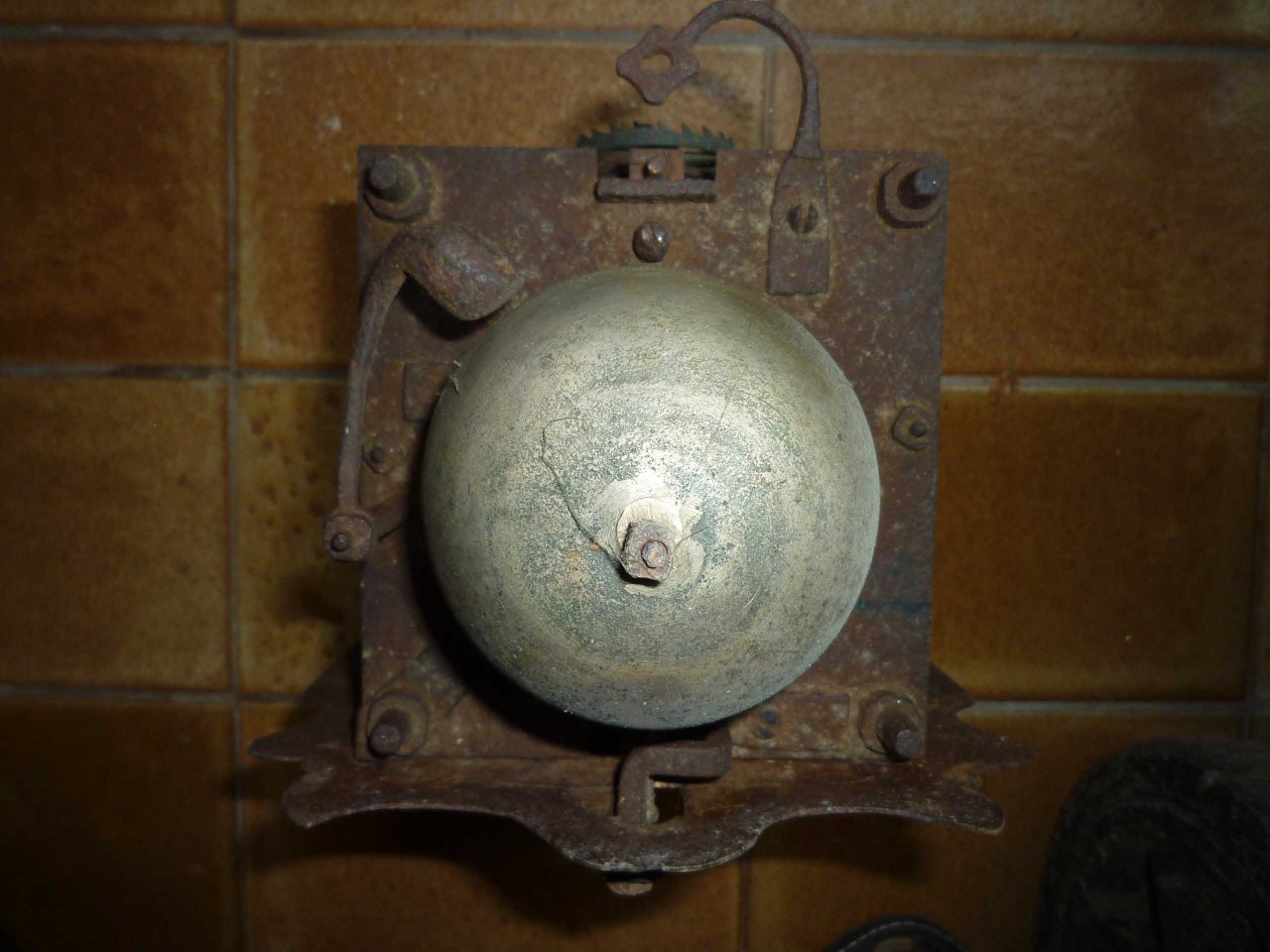 P1010787.jpg