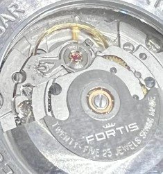 Fortis2824.jpg